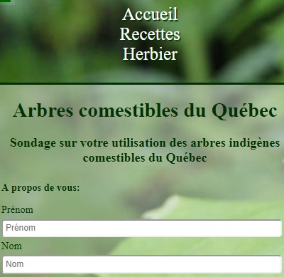 Sondage sur les arbres indigènes comestibles du Québec